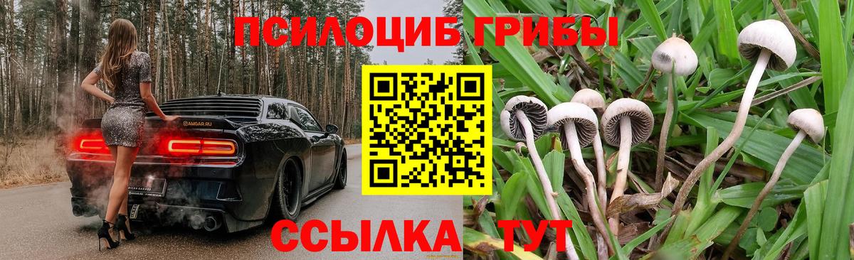 Галлюциногенные грибы мицелий  Вход с VPN  Белово  Псилоцибиновые грибы Psilocybe 